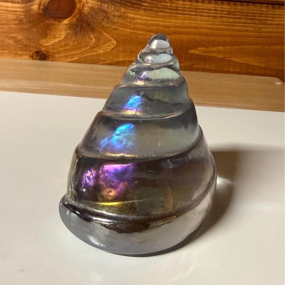 Glass Shell Paperweight | Silvestri Iridescent Art Glass Coastal Decor Seashell